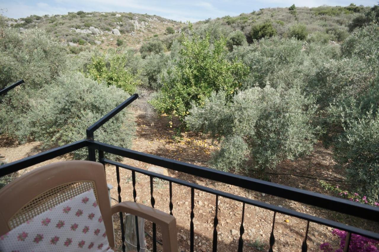Patara Caretta Hotel 외부 사진